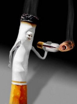 健脾的食物 保养脾脏的最好方法