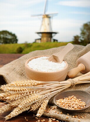 脑瘫治疗 有利于脑瘫儿营养吸收的食疗方