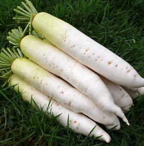 五脏排毒 秋季五脏排毒养生方法