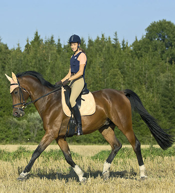 初学者骑马须知  教你如何上下马