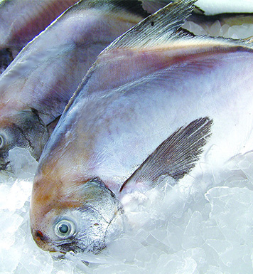 冷冻食品养生常识 了解关于冷冻食品方面的知识