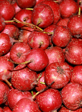 怎样减肥最快最有效 10个小妙招快速减肥