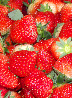 怎样瘦手臂 八个技巧帮你减掉手臂赘肉