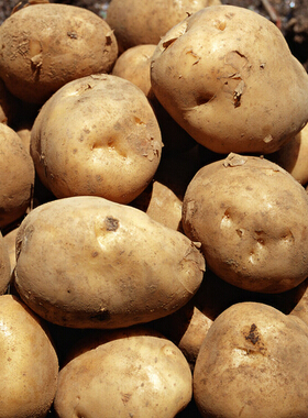 怎样减肥 减肥中5大错误认知