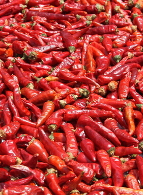 怎样减肥最快最有效 10个小妙招快速减肥