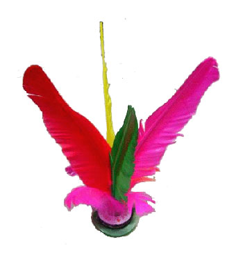 去健身房贵怎么办 10种最经济实用的运动器材