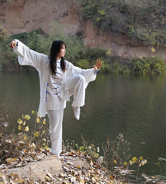 养生太极拳 什么是太极拳的拳理