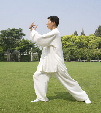 42式太极拳 太极拳中意气怎么学习