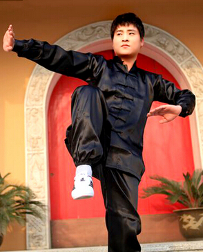 杨氏太极拳 太极的六大功能