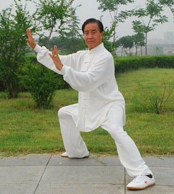 太极拳教学 太极拳训练方法