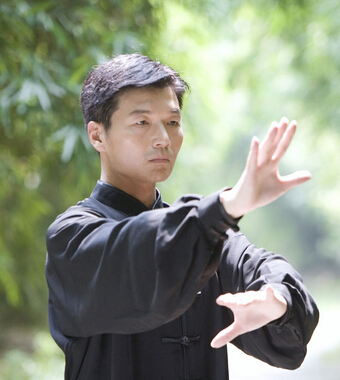 42式太极拳 太极拳风格特点