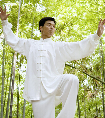 吴式太极拳 四十五式太极拳特征