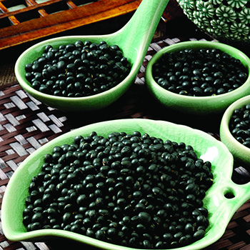 如何补血益气 黑豆补血益气功效及制作方法