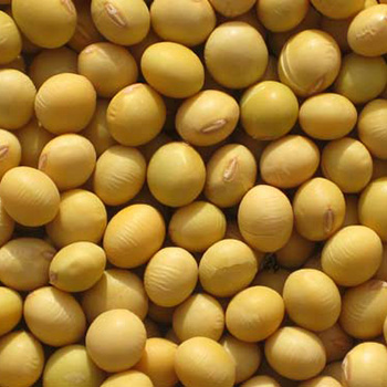 八款另类五谷杂粮养生茶 补血益气又排毒