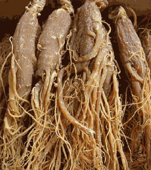 如何补血益气 补血益气汤的制作方法