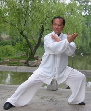 太极拳教学 怎样才能练好太极拳