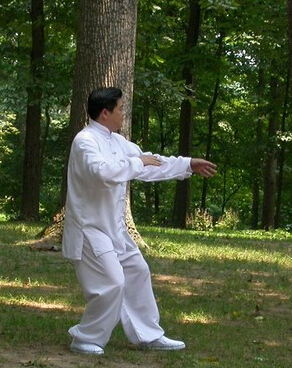 陈式太极拳 陈氏太极拳的训练方法