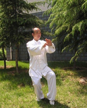 道家养生功 养生太极拳