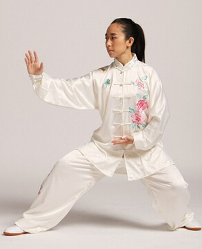 85式杨式太极拳 学好太极的要点