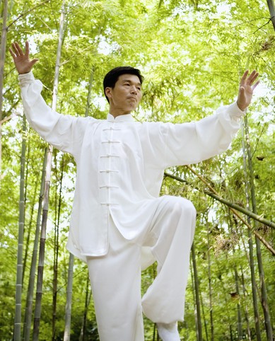 武当太极拳 张三丰的武当太极拳