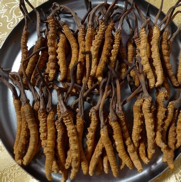 女人肾虚常见10种症状 推荐10食物补肾养肾