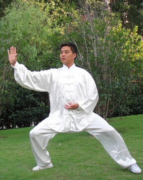 太极拳 太极拳有哪些优点