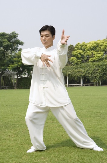 中华武术 中国传统太极拳术奥义