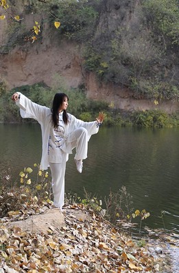 陈式太极拳 陈式太极拳主要招式有哪些