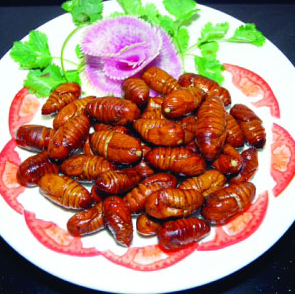 阳痿遗精怎么办 必吃9大壮阳食物