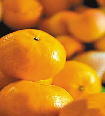 秋季有哪些时令水果  有哪些营养价值和功效