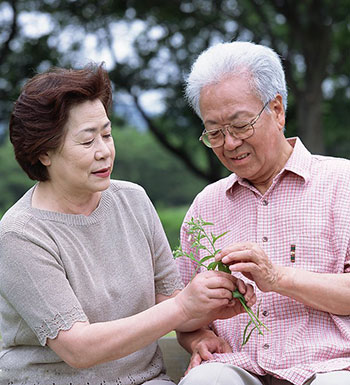 老年人饮食误区 一味吃素不利于老年人健康