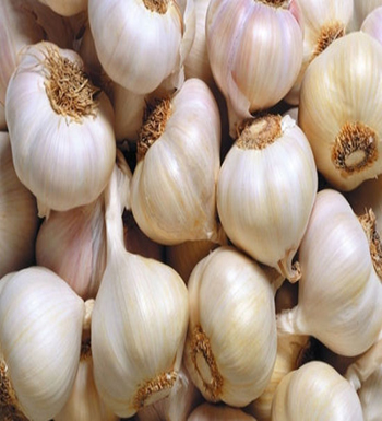 大蒜的功效  肝病患者千万别吃蒜