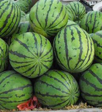 反季节水果好看不中用 吃反季节水果谨防激素