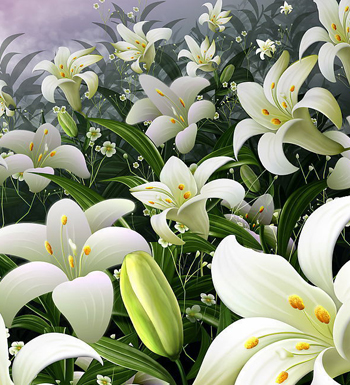 老年人想长寿吃什么好 老年人吃什么长寿