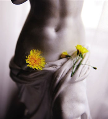 吃煎蛋对卵巢不好 女性保养卵巢应该吃什么