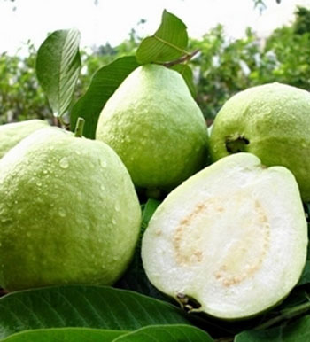 夏季容易出现拉肚子 拉肚子吃什么水果好