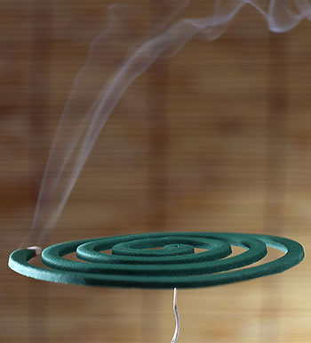 蚊香会诱发宝宝哮喘 防蚊还是老三样靠谱