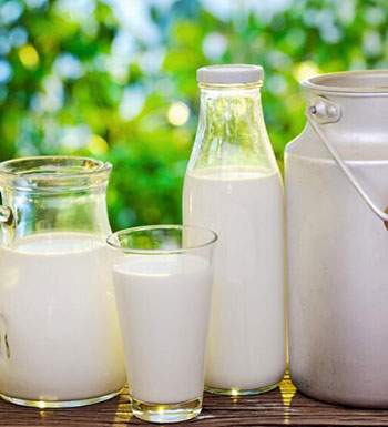 饮食养生 五种常见牛奶哪一种最有营养