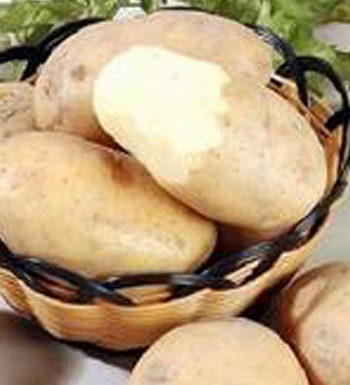 肾结石常识 形成主因是饮食 导致肾结石的原因