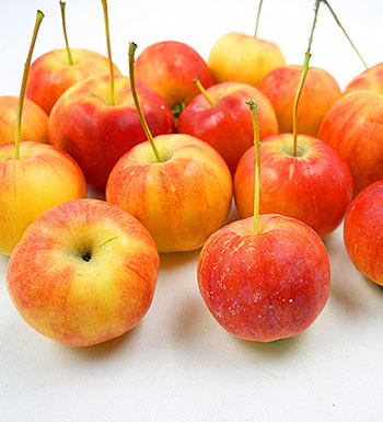 酸涩食物可以防癌 盘点那些防病防癌的食物