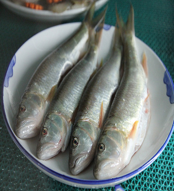 千万不能生吃的食物  生豆浆千万不能喝
