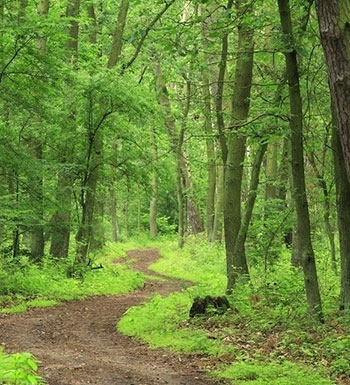 夏季蚊虫多 户外爬山怎样防蚊虫叮咬