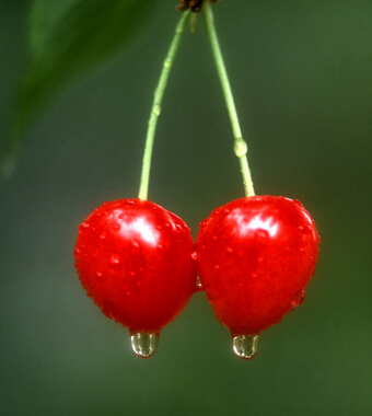 水果的营养价值 九大水果的奇异功效