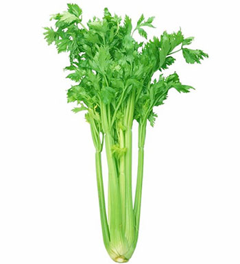 油腻食物危害大需慎吃 8种食物解油腻