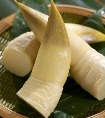 春季养生 春季我们吃什么才最养生