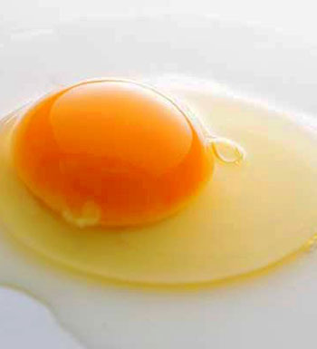 吃蛋黄好还是蛋清好 蛋清和蛋黄哪个更有营养