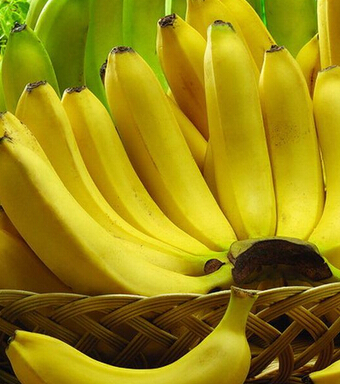 养生保健 男人一辈子的营养保健之道