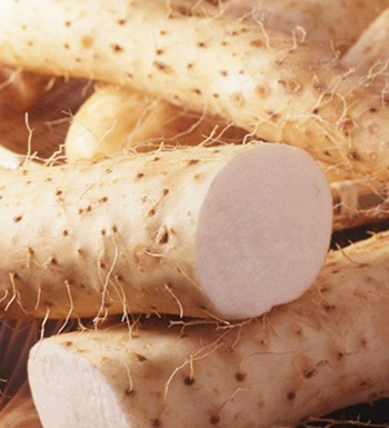 山药白果特补肾 盘点6种特效强身补肾食物