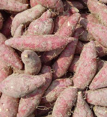 女人养颜排毒吃什么好 吃这些养颜排毒不用愁