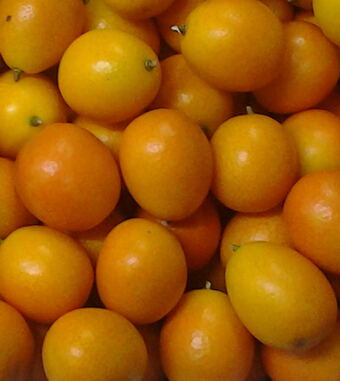 金桔的功效与作用 化痰止渴消食醒酒